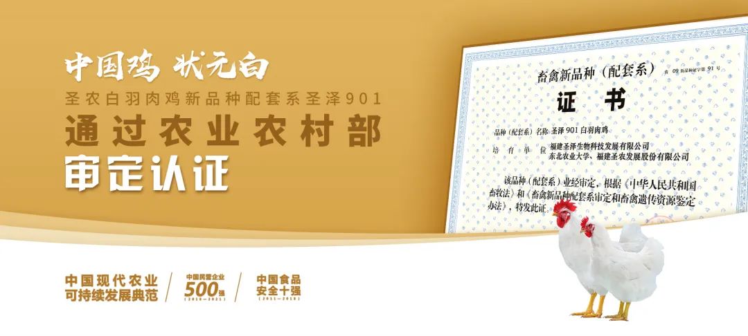 20220322152022 J9国际集团(中国)-官方网站