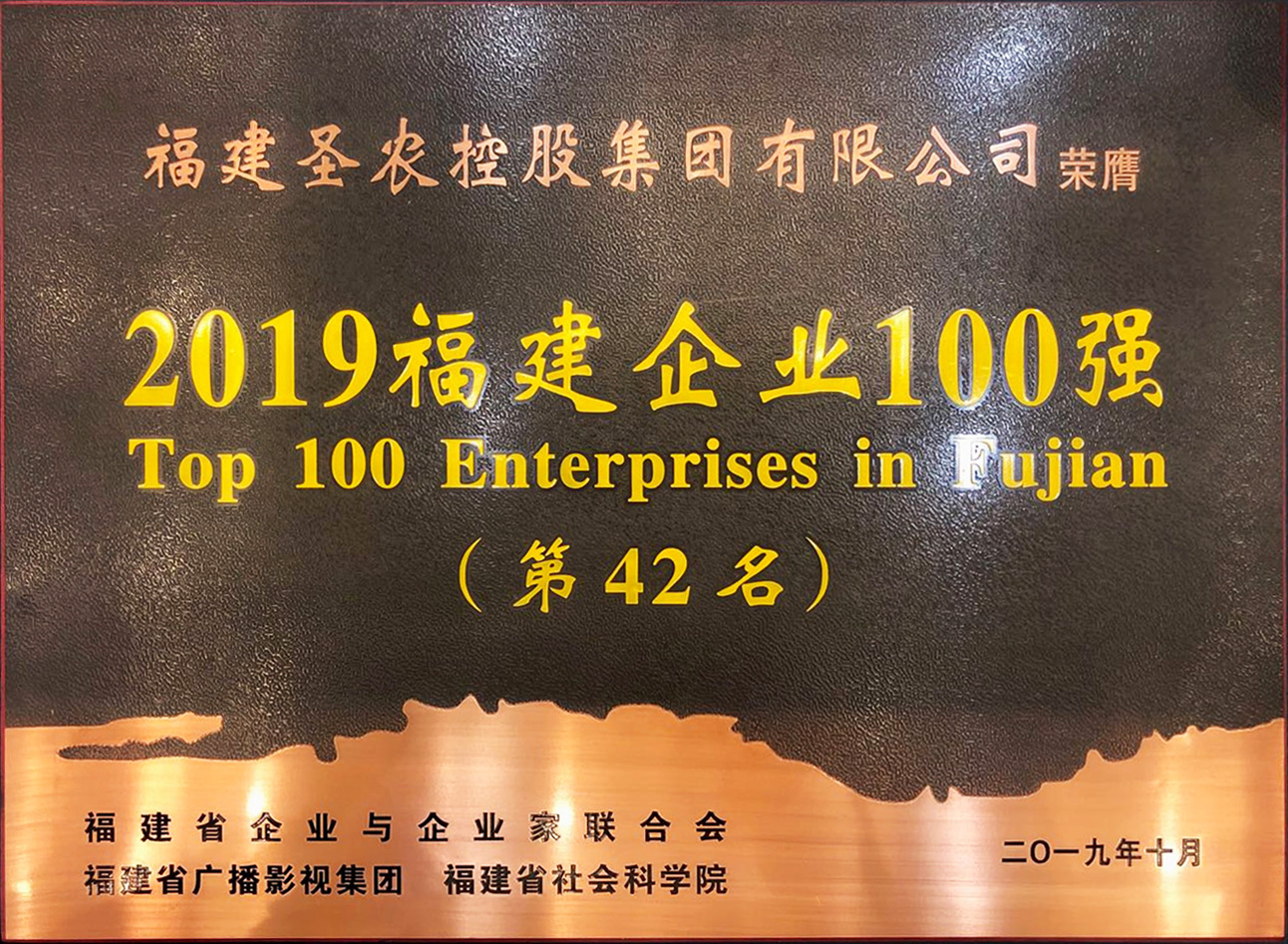 2019（j9国际集团集团）福建企业100强